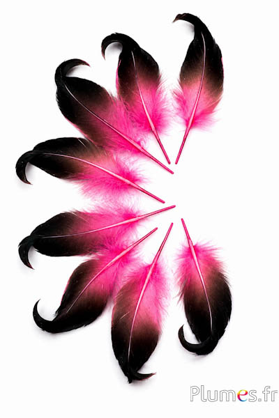 Anatra - 6-9 cm - fucsia-nero